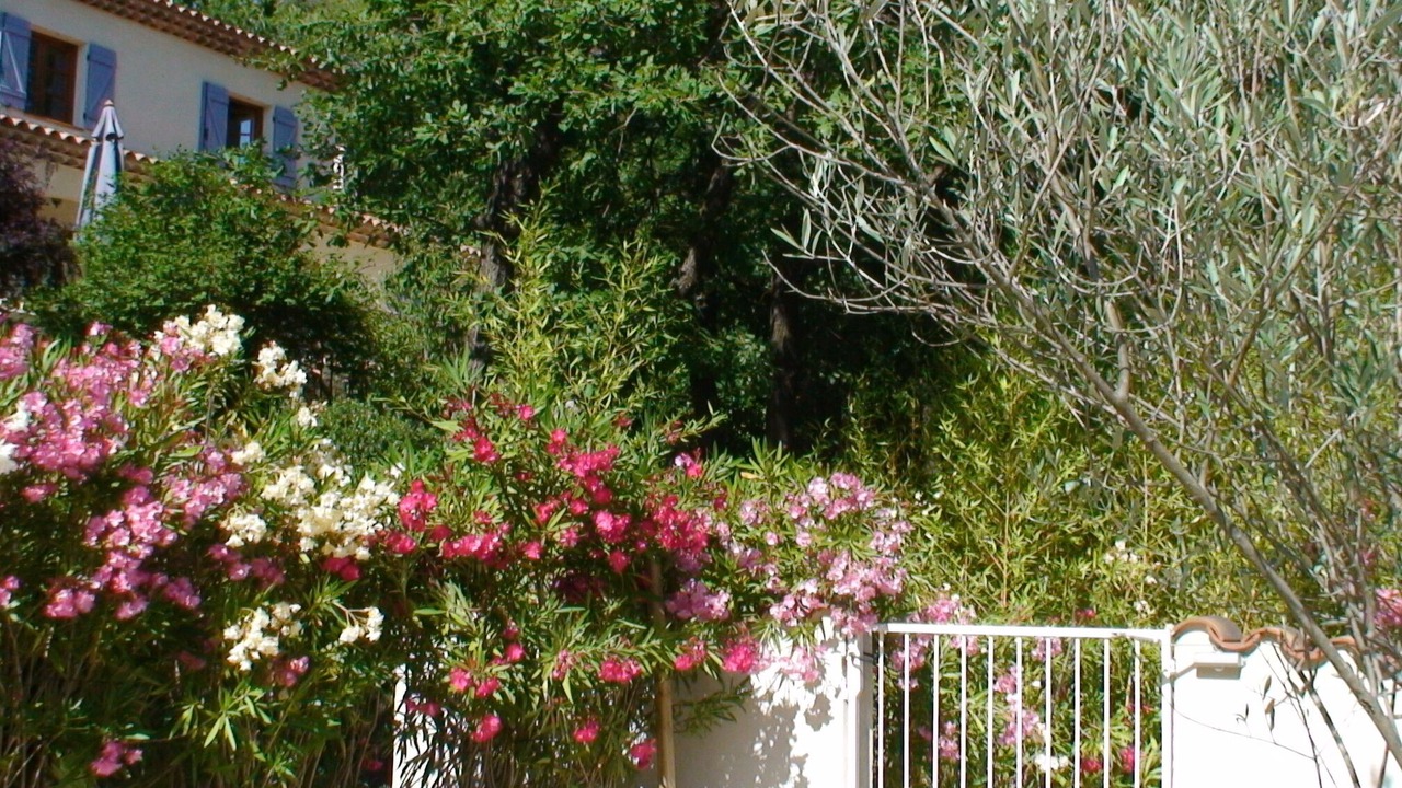 Photo of Outdoor in Cabasse