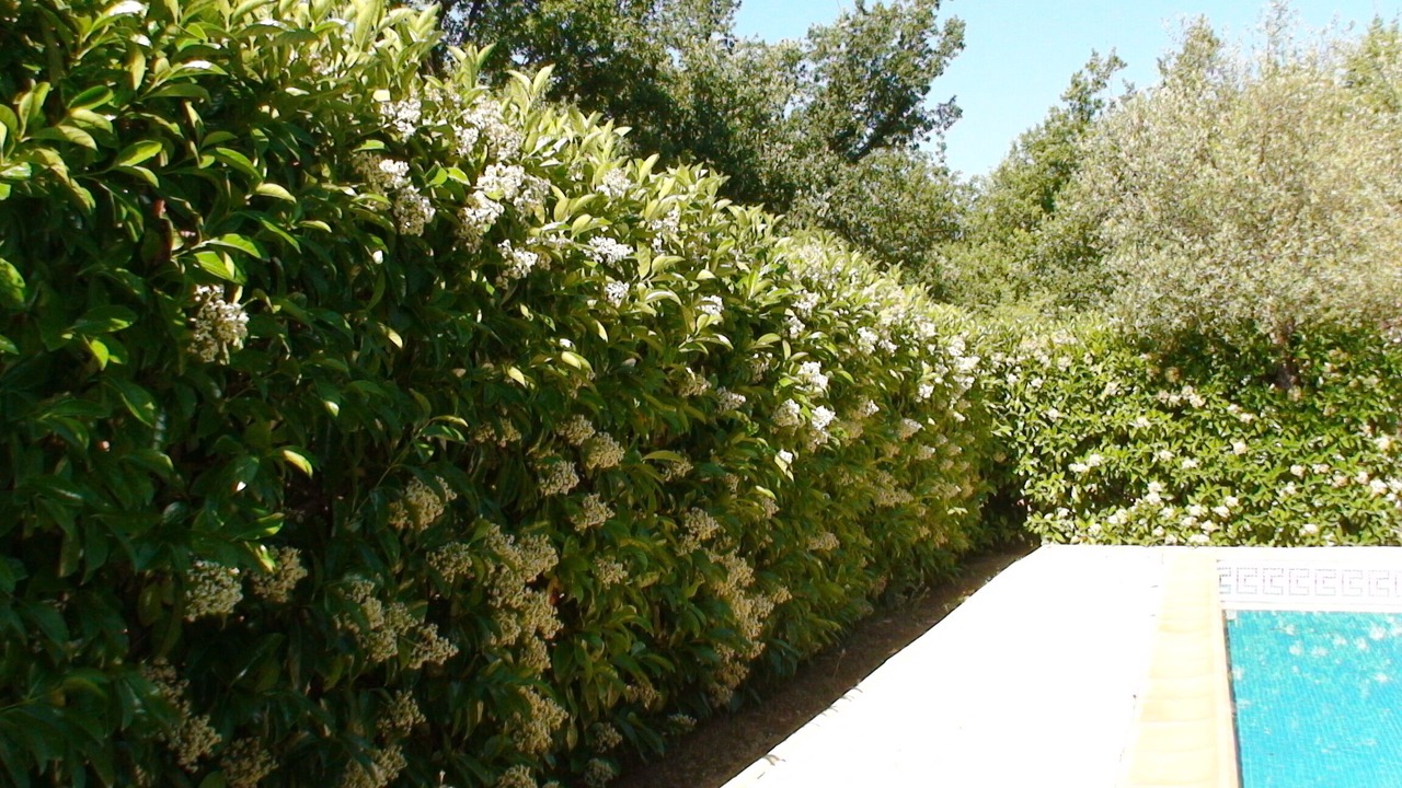Photo of Outdoor in Cabasse