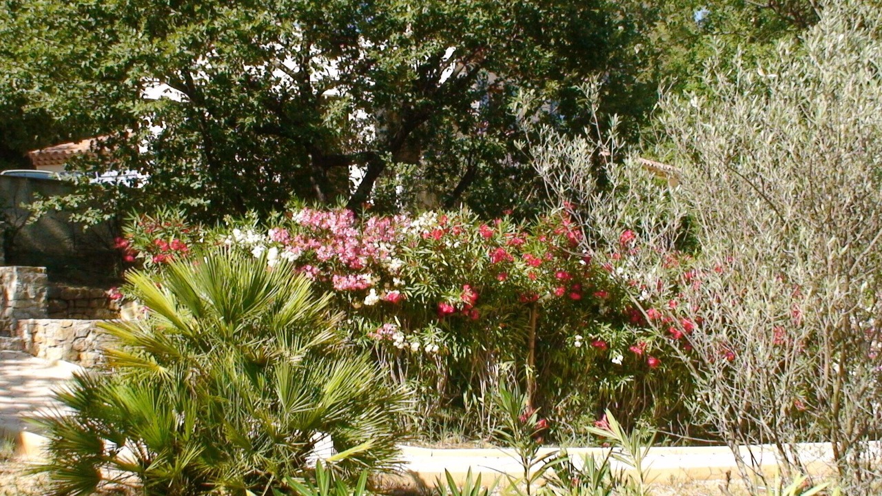 Photo of Outdoor in Cabasse
