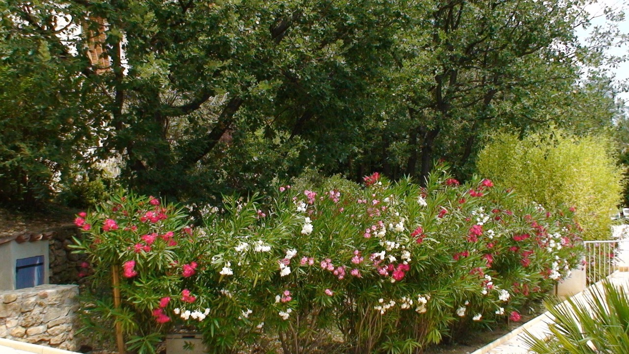 Photo of Outdoor in Cabasse