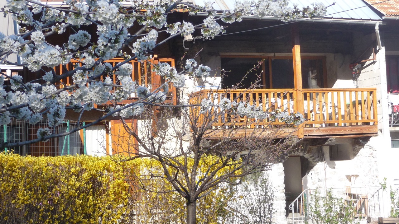Photo of Outdoor in Saint-Martin-de-Queyrieres
