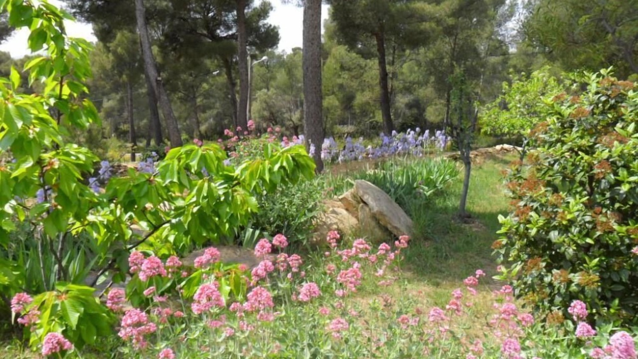 Photo of Outdoor in La Ciotat