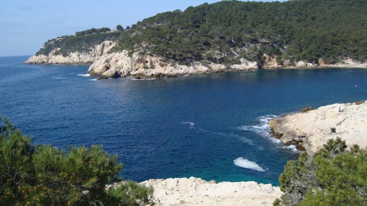 Photo of Others in La Ciotat