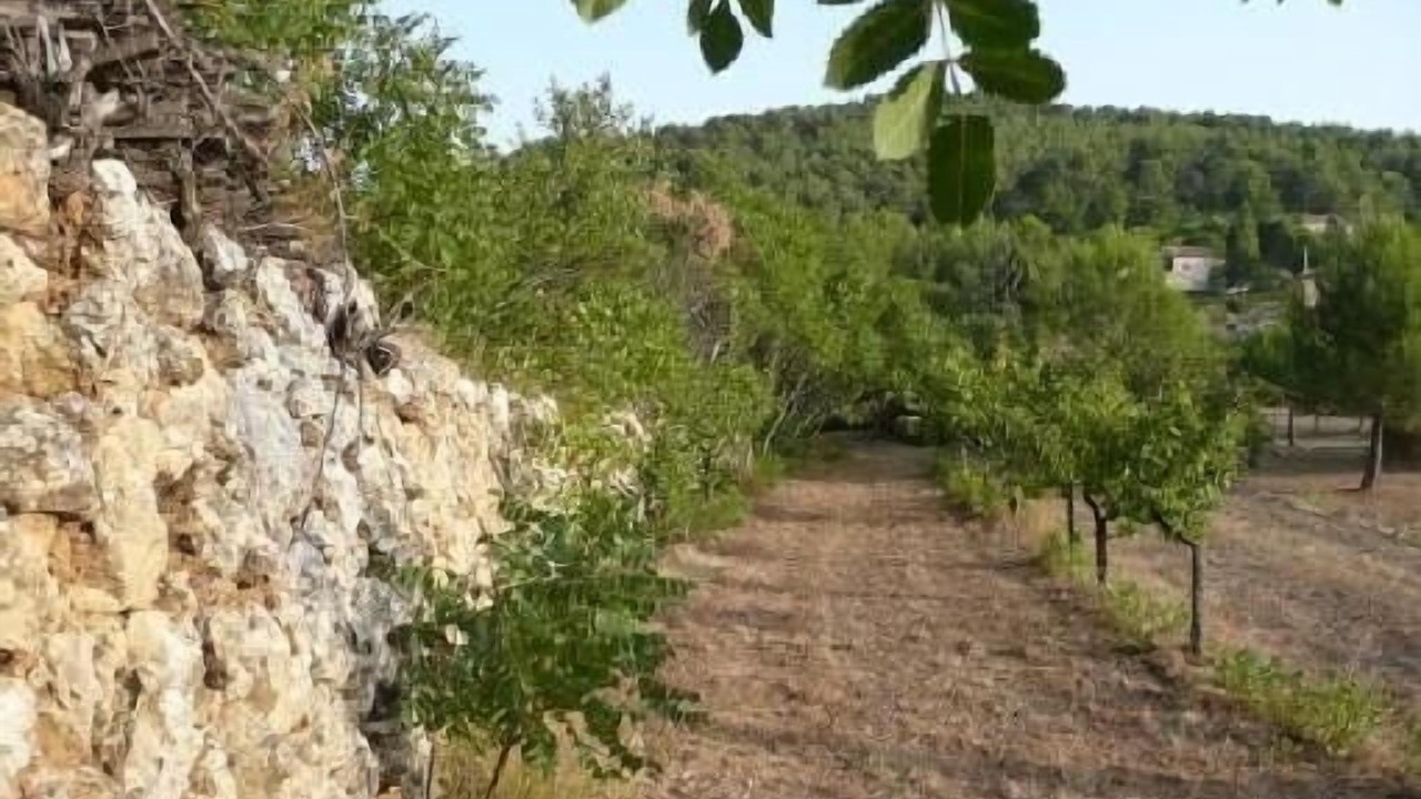Photo of Outdoor in Auriol