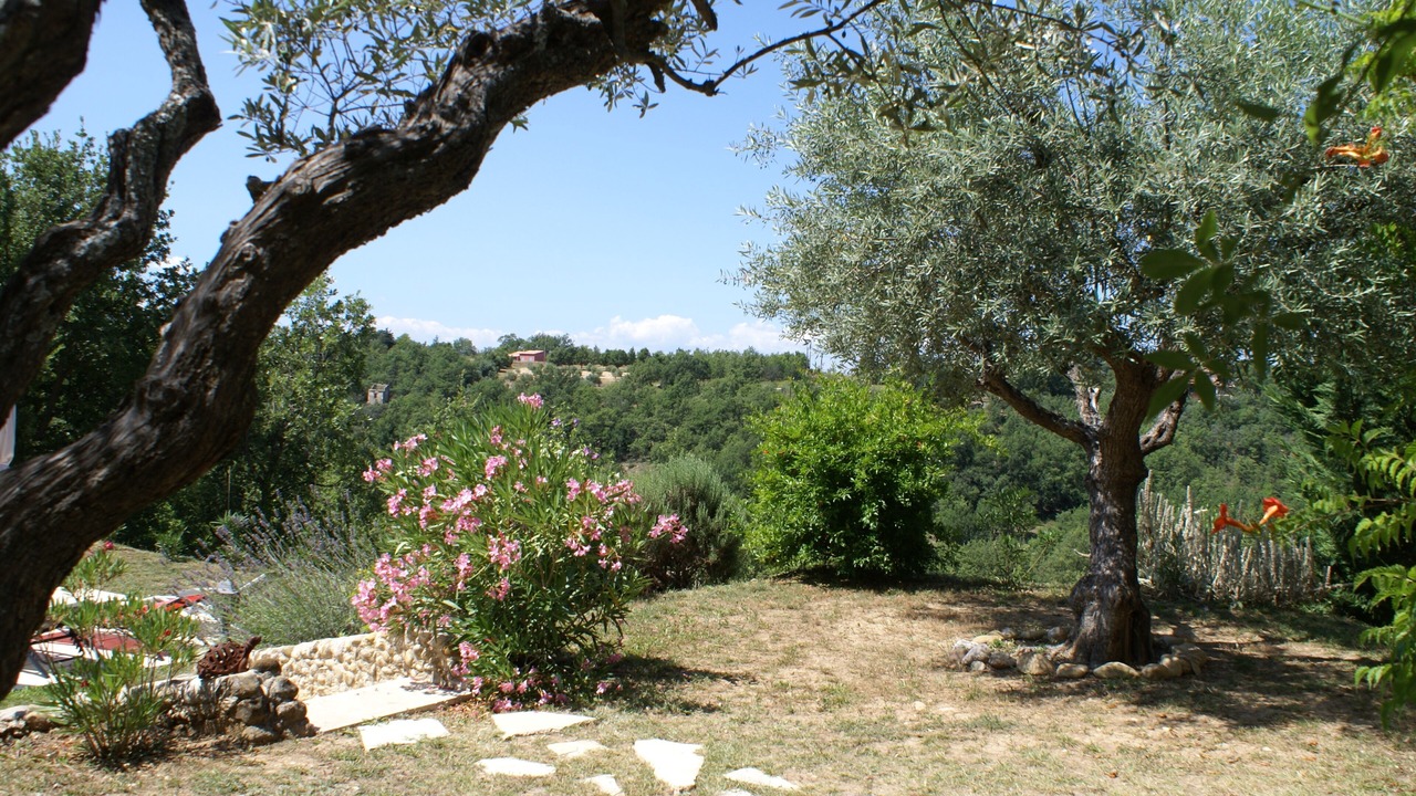 Photo of Outdoor in Montagnac-Montpezat