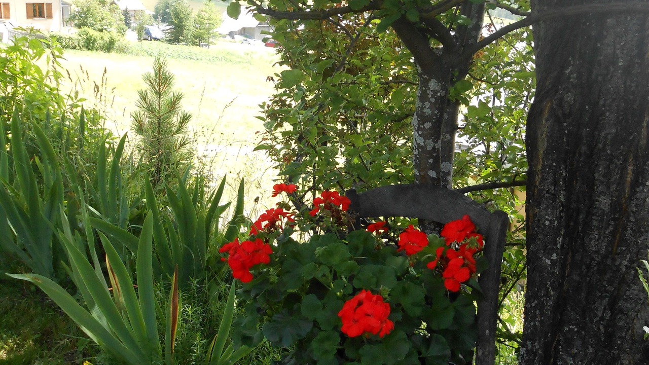 Photo of Outdoor in Arvieux