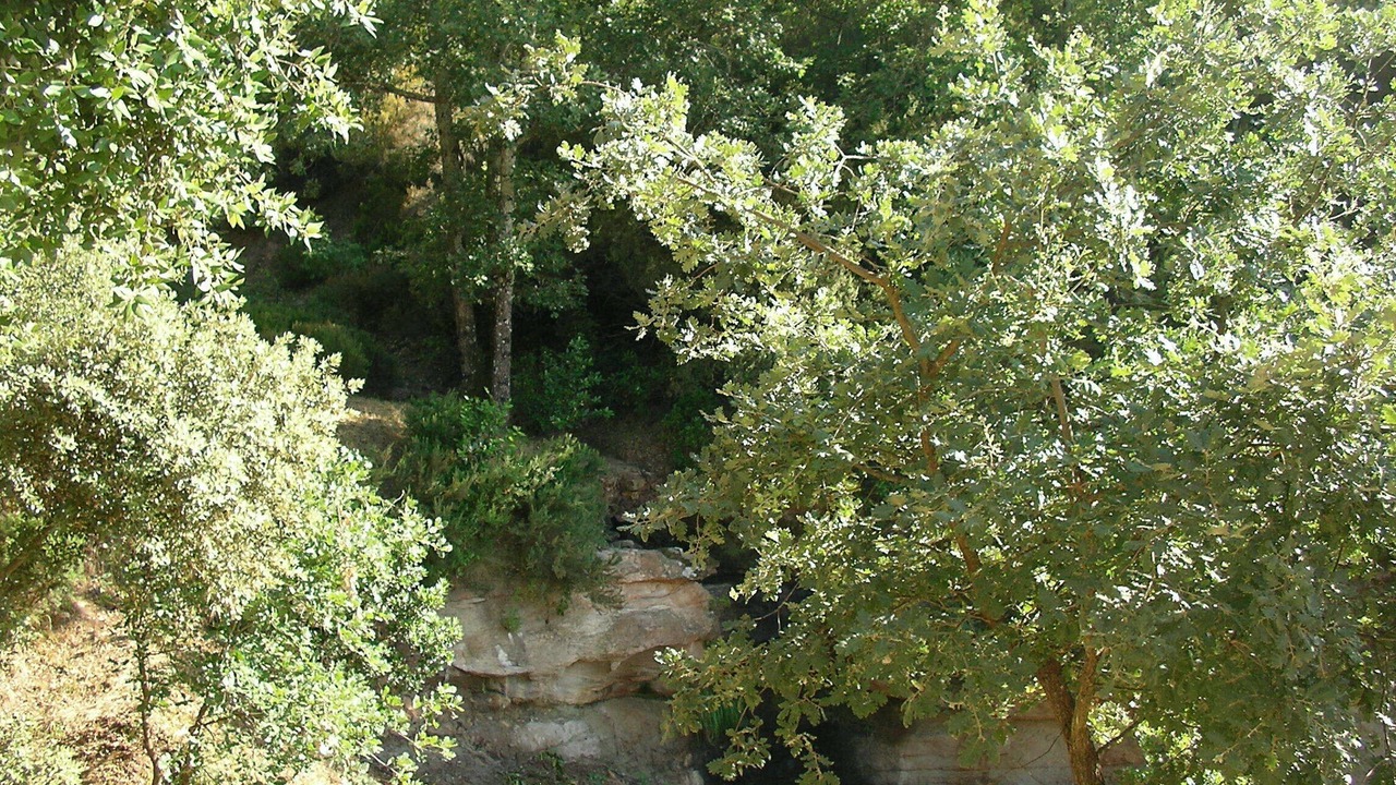 Photo of Outdoor in Vidauban