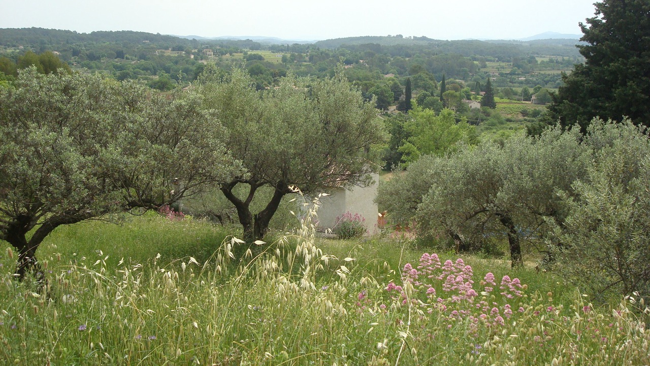 Photo of Outdoor in Cotignac