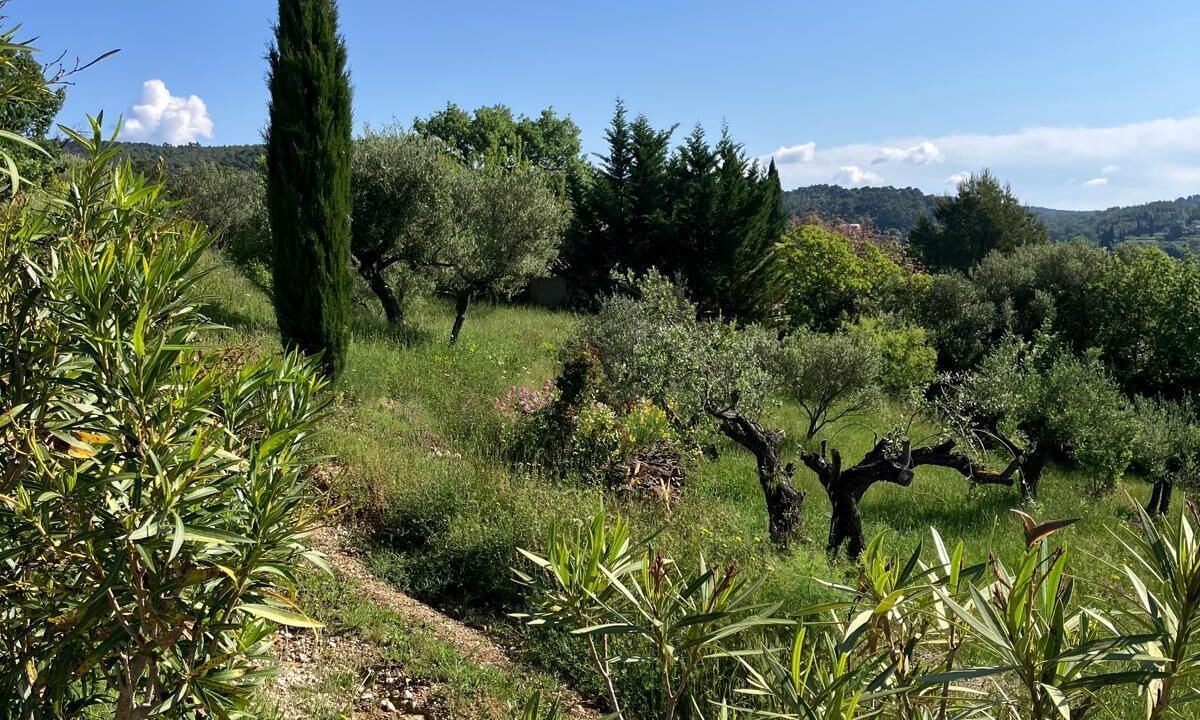 Photo of Outdoor in Cotignac
