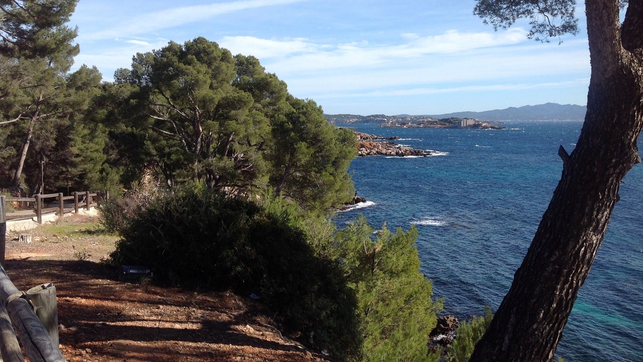 Photo of Others in Bandol