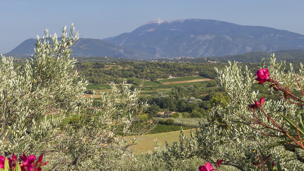 Photo of Outdoor in Mirabel-aux-Baronnies