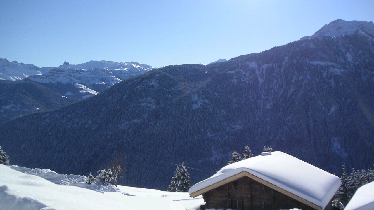 Photo of Outdoor in Bisanne 1500