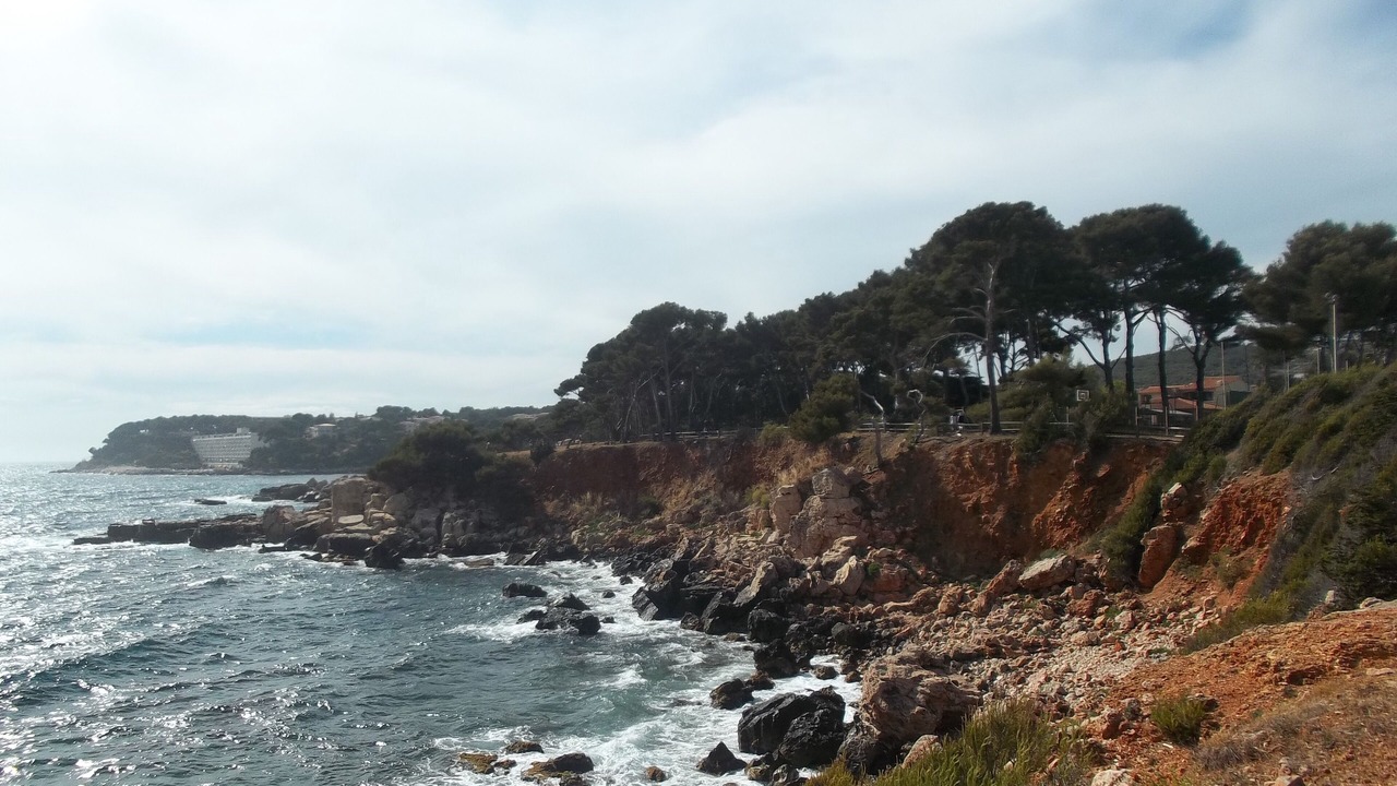 Photo of Others in Bandol