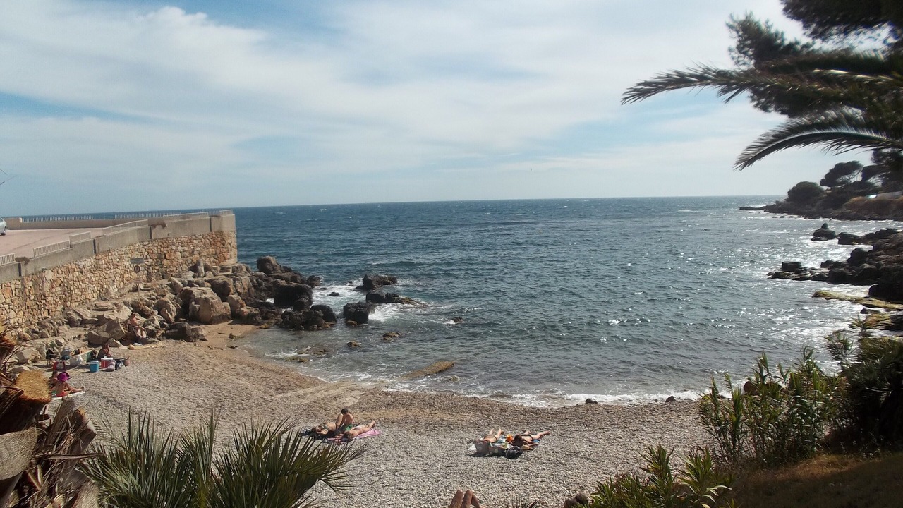 Photo of Others in Bandol