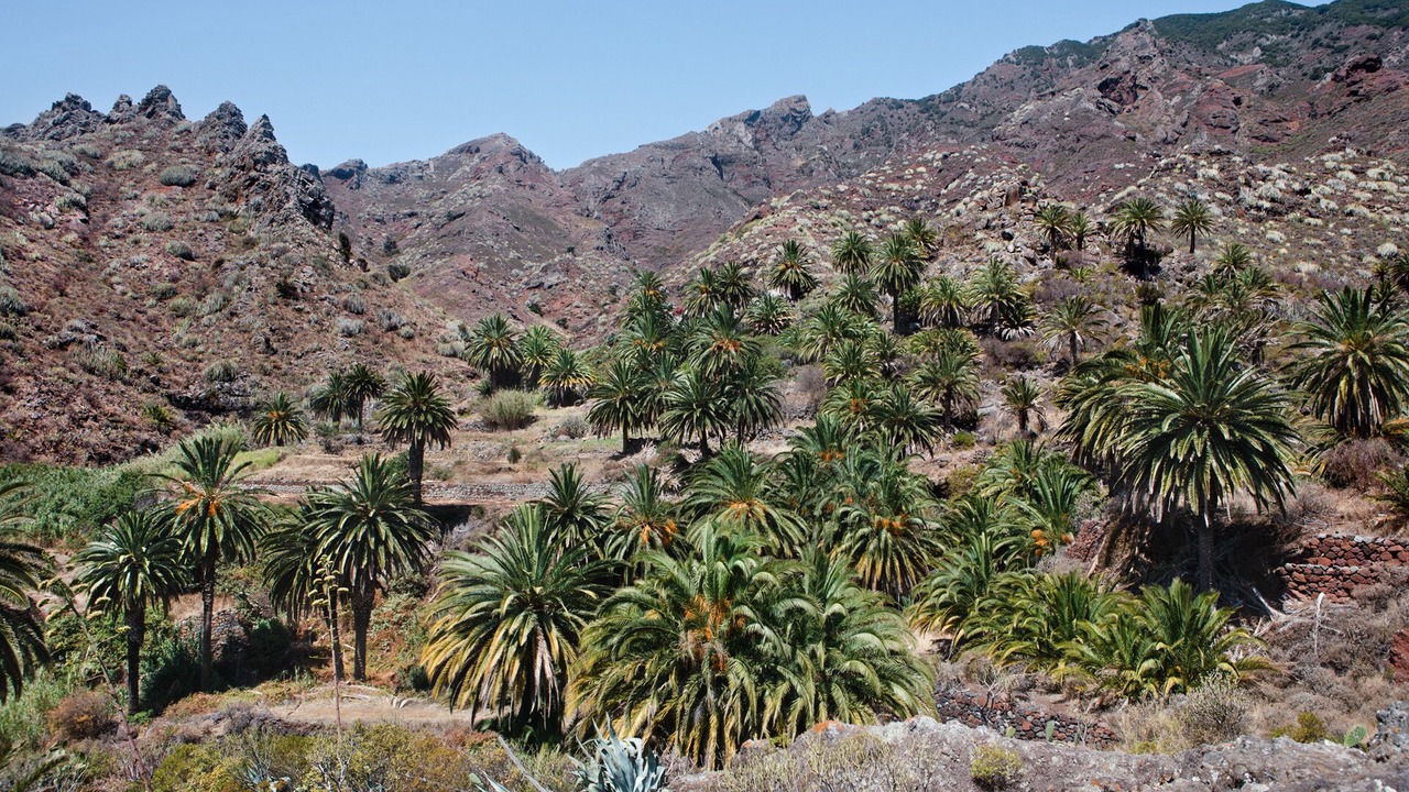 Photo of Outdoor in San Andres