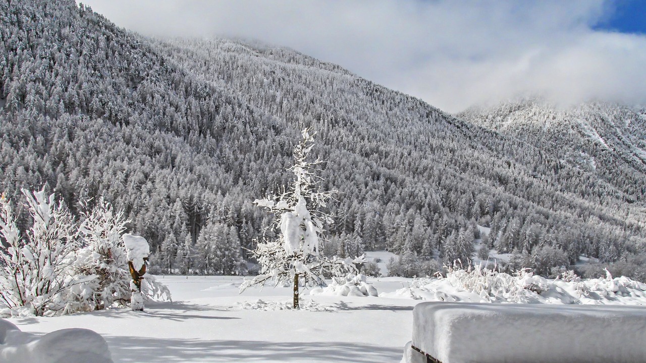 Photo of Outdoor in Nevache