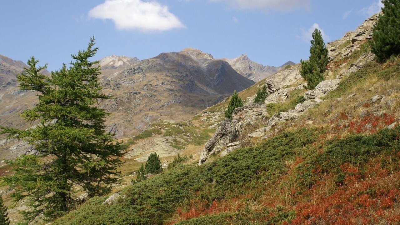 Photo of Outdoor in Nevache