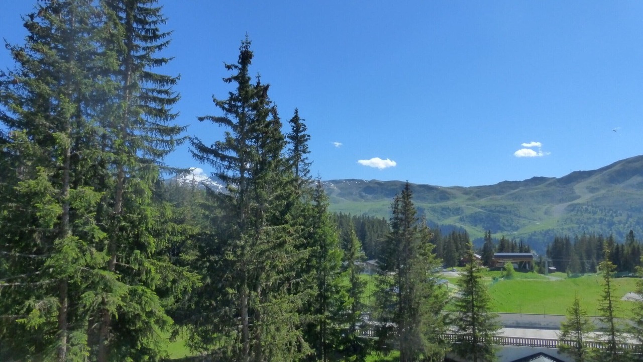 Photo of Others in Meribel