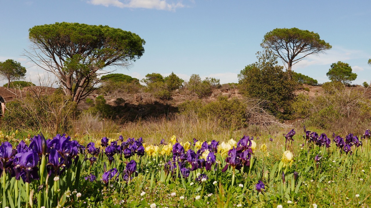 Photo of Outdoor in Les Mayons