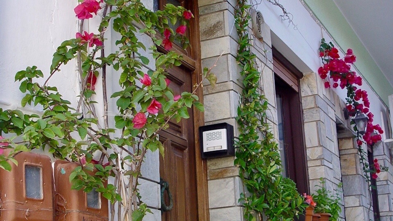 Photo of Outdoor in Skopelos Town