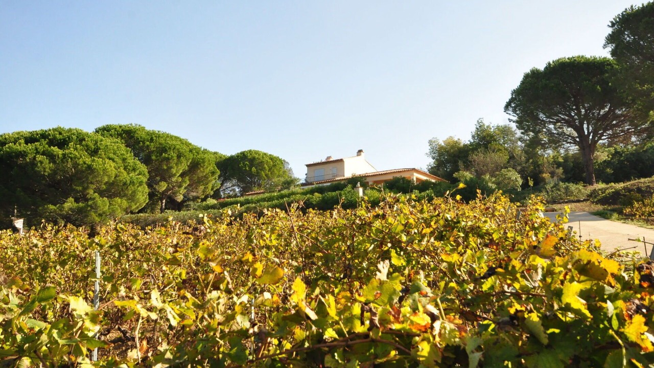 Photo of Others in La Croix-Valmer