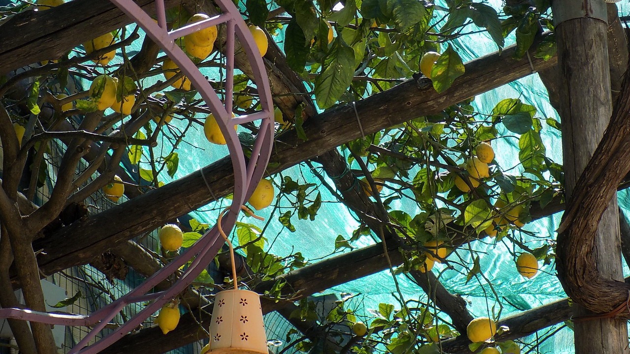 Photo of Outdoor in Maiori