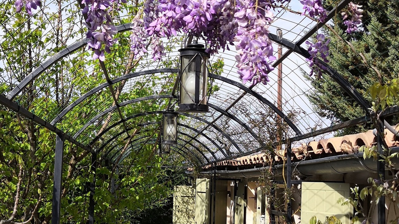 Photo of Outdoor in Rocbaron