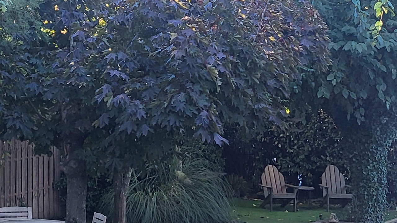 Photo of Outdoor in Rocbaron