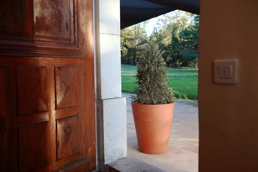 Photo of Outdoor in Pignans