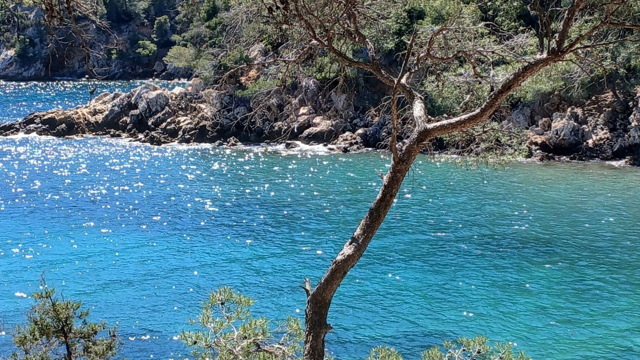 Photo of Others in Saint-Cyr-sur-Mer