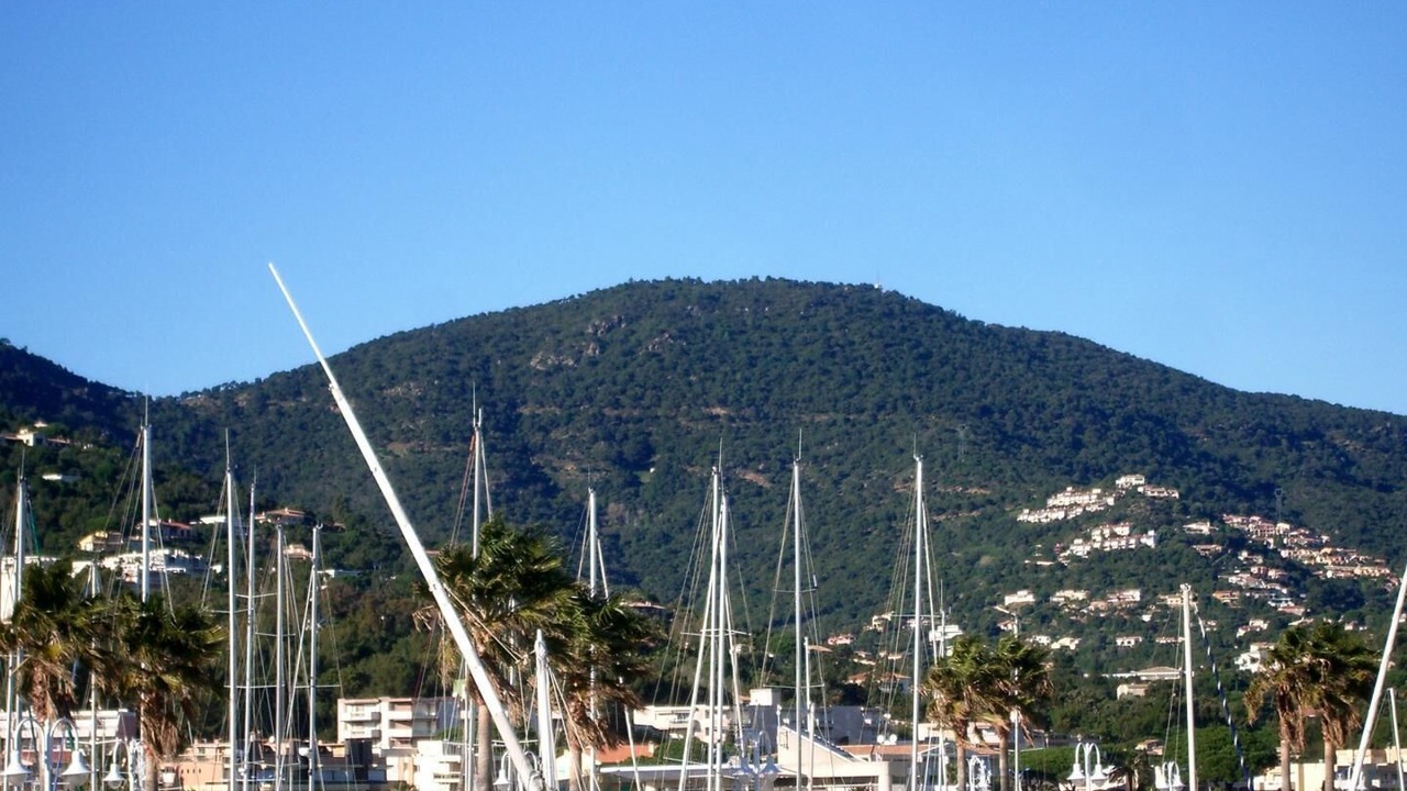 Photo of Others in Cavaliere