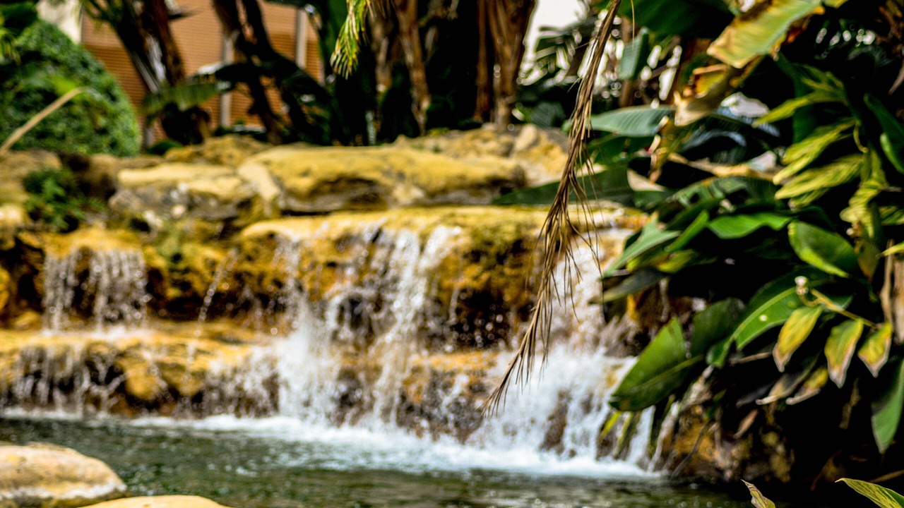 Photo of Outdoor in Aventura