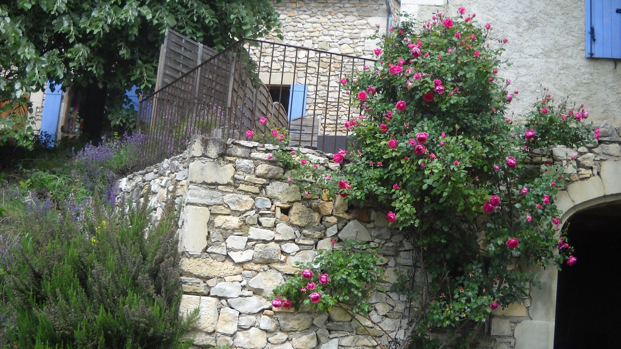 Photo of Outdoor in Aurel