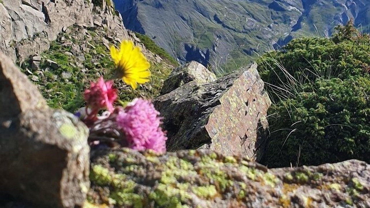 Photo of Outdoor in Saint-Michel-de-Chaillol