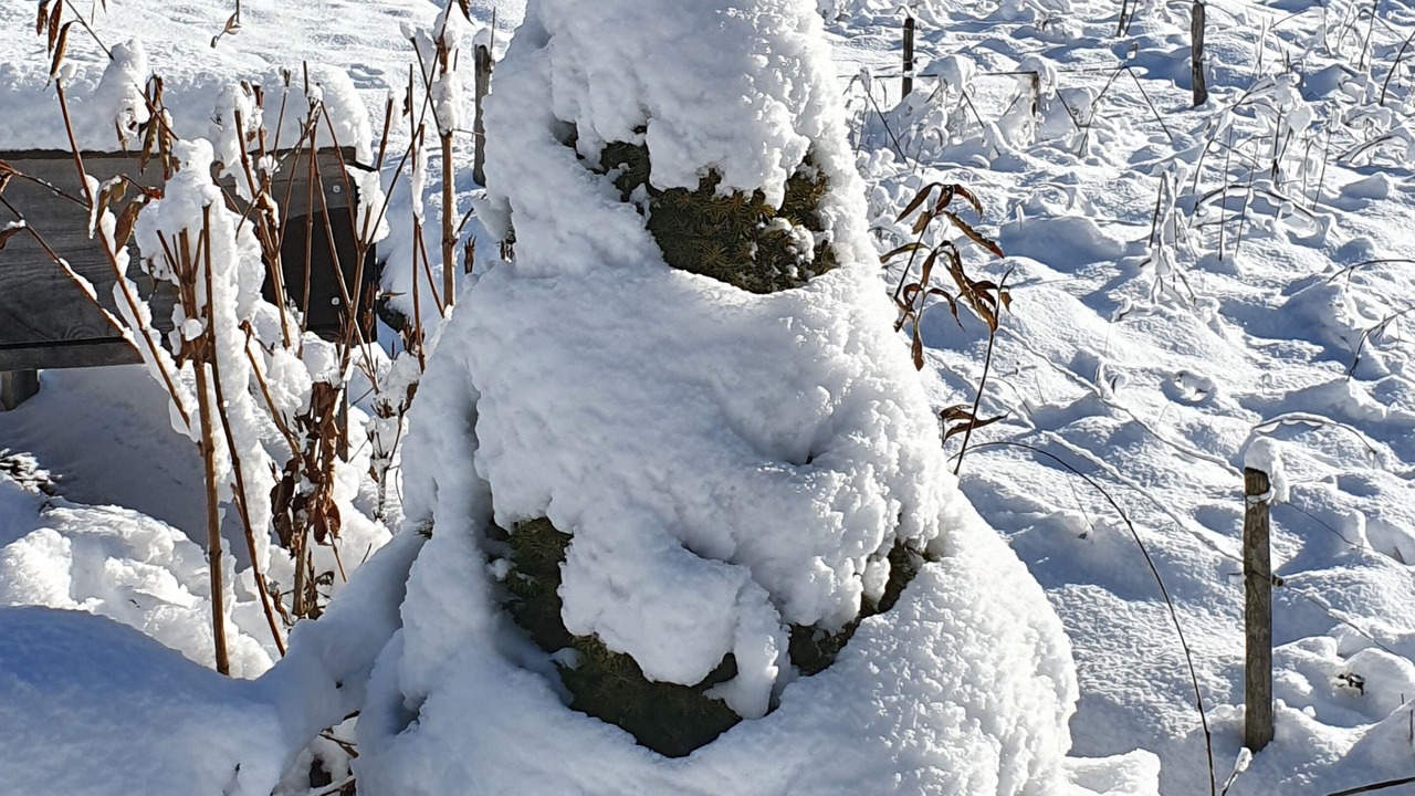 Photo of Outdoor in Saint-Michel-de-Chaillol