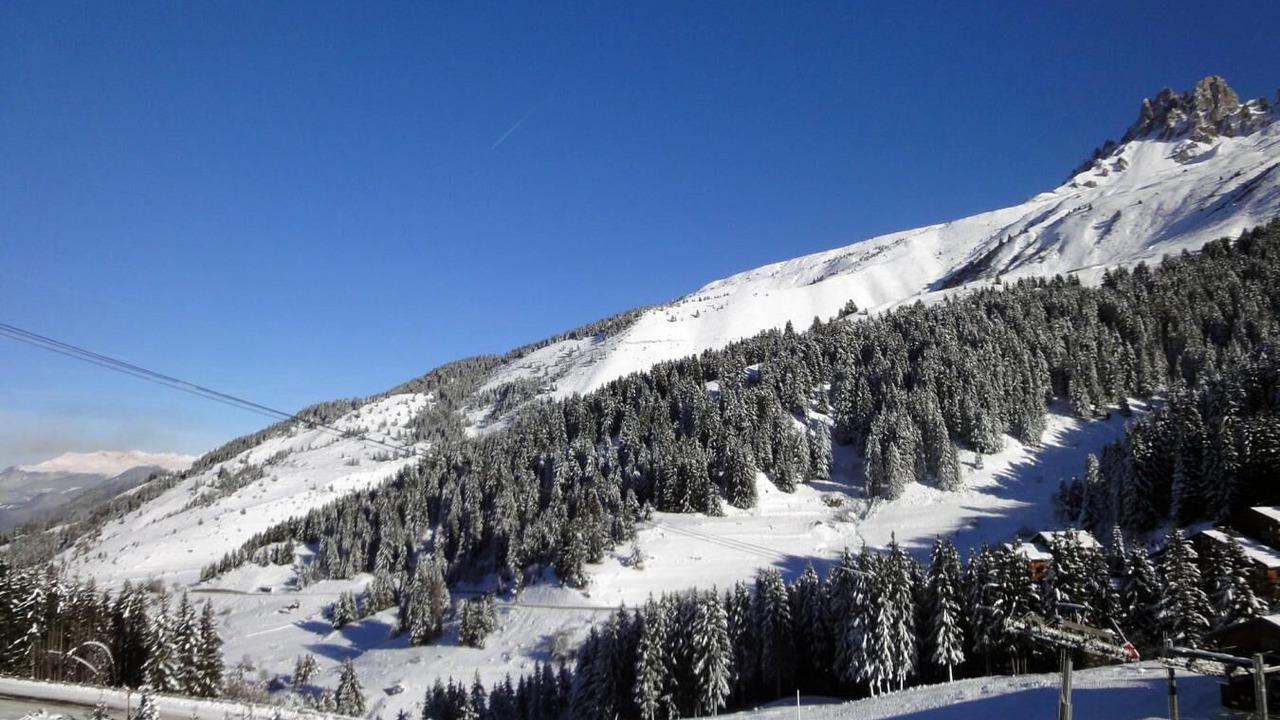 Photo of Others in Meribel-Mottaret