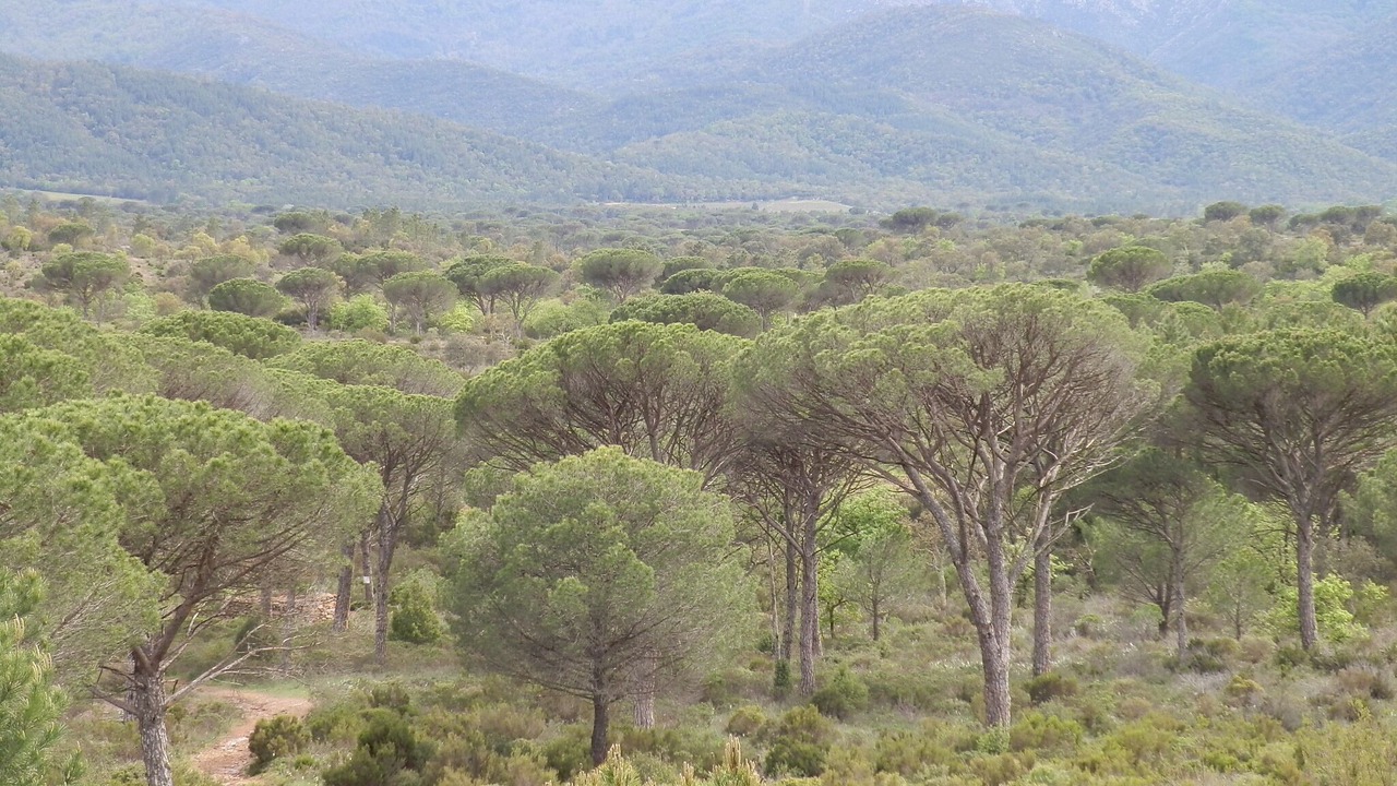 Photo of Outdoor in Le Luc