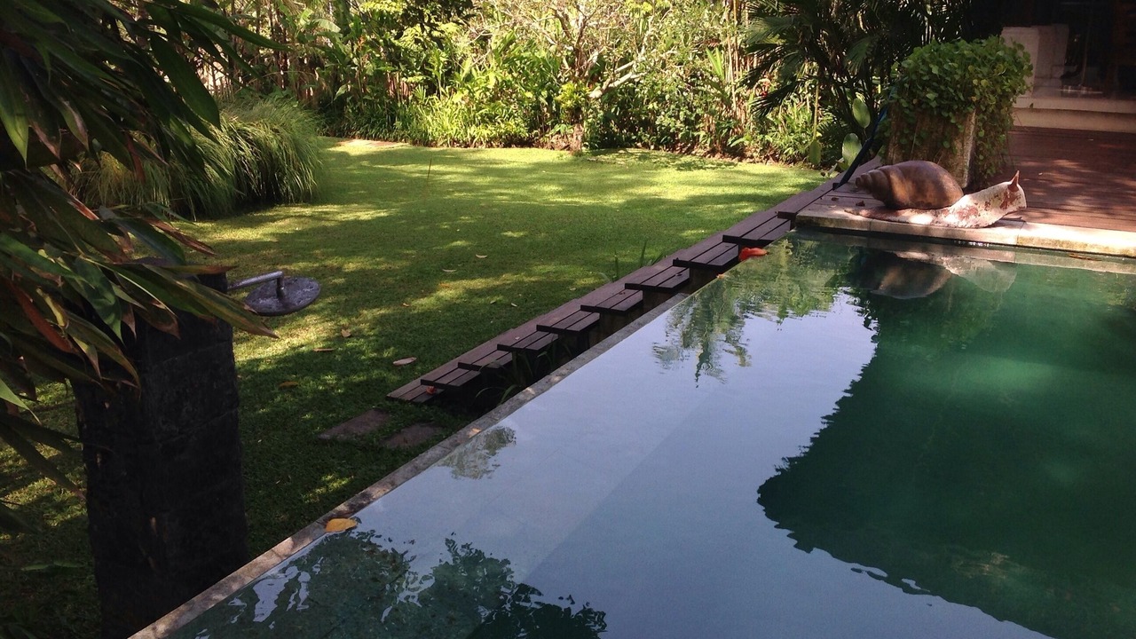 Photo of Outdoor in Kedewatan