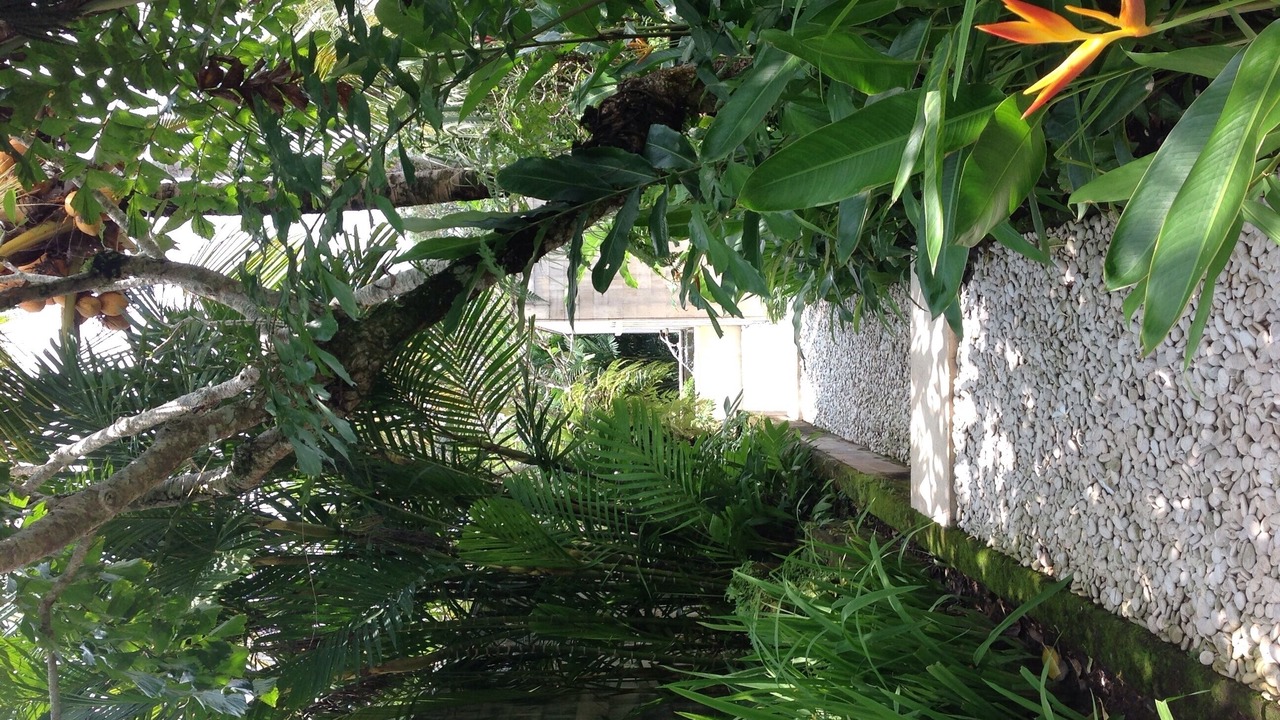 Photo of Outdoor in Kedewatan