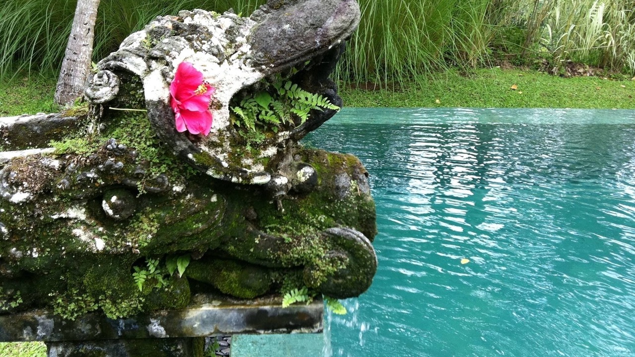Photo of Outdoor in Kedewatan