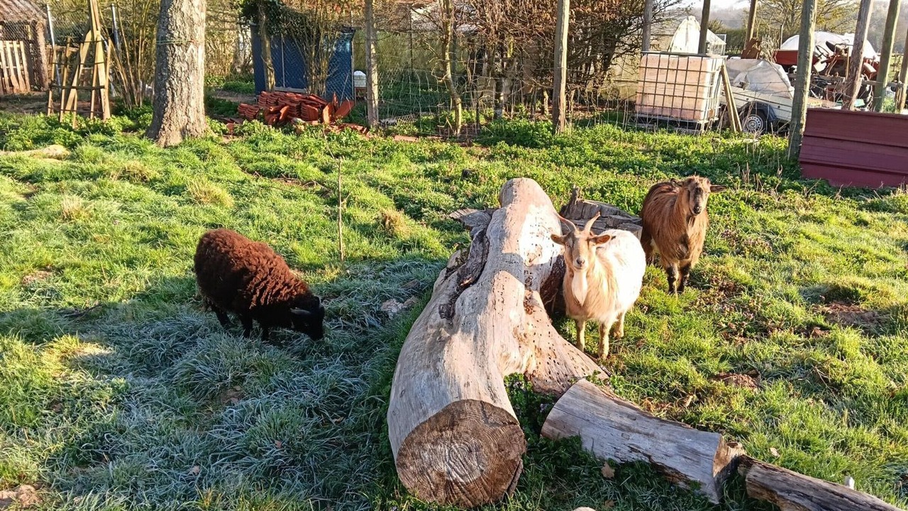 Photo of Others in Saint-Bonnet-Troncais