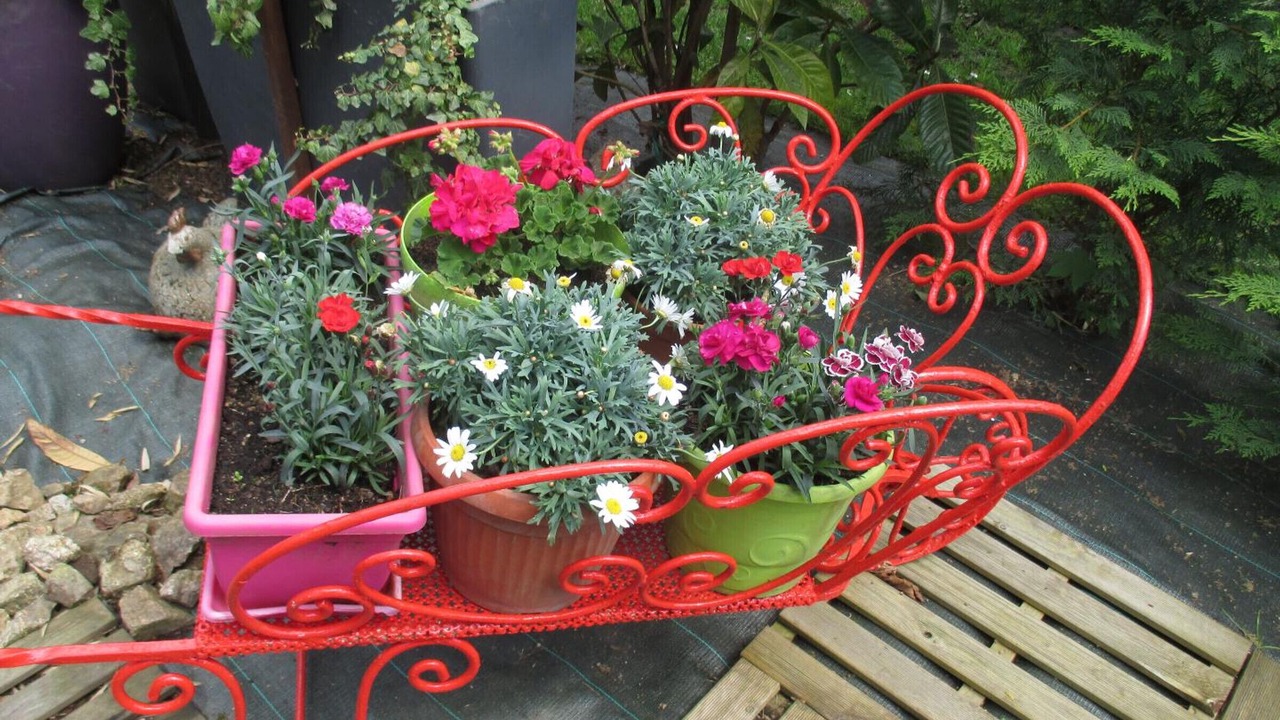 Photo of Outdoor in Arfeuilles