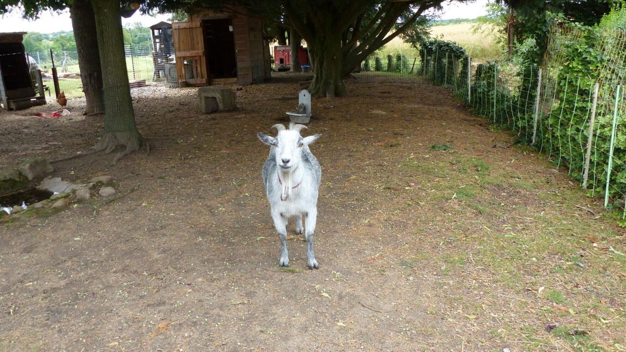 Photo of Outdoor in Saligny-sur-Roudon