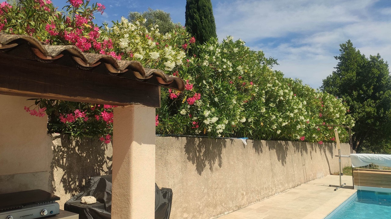 Photo of Outdoor in Callas