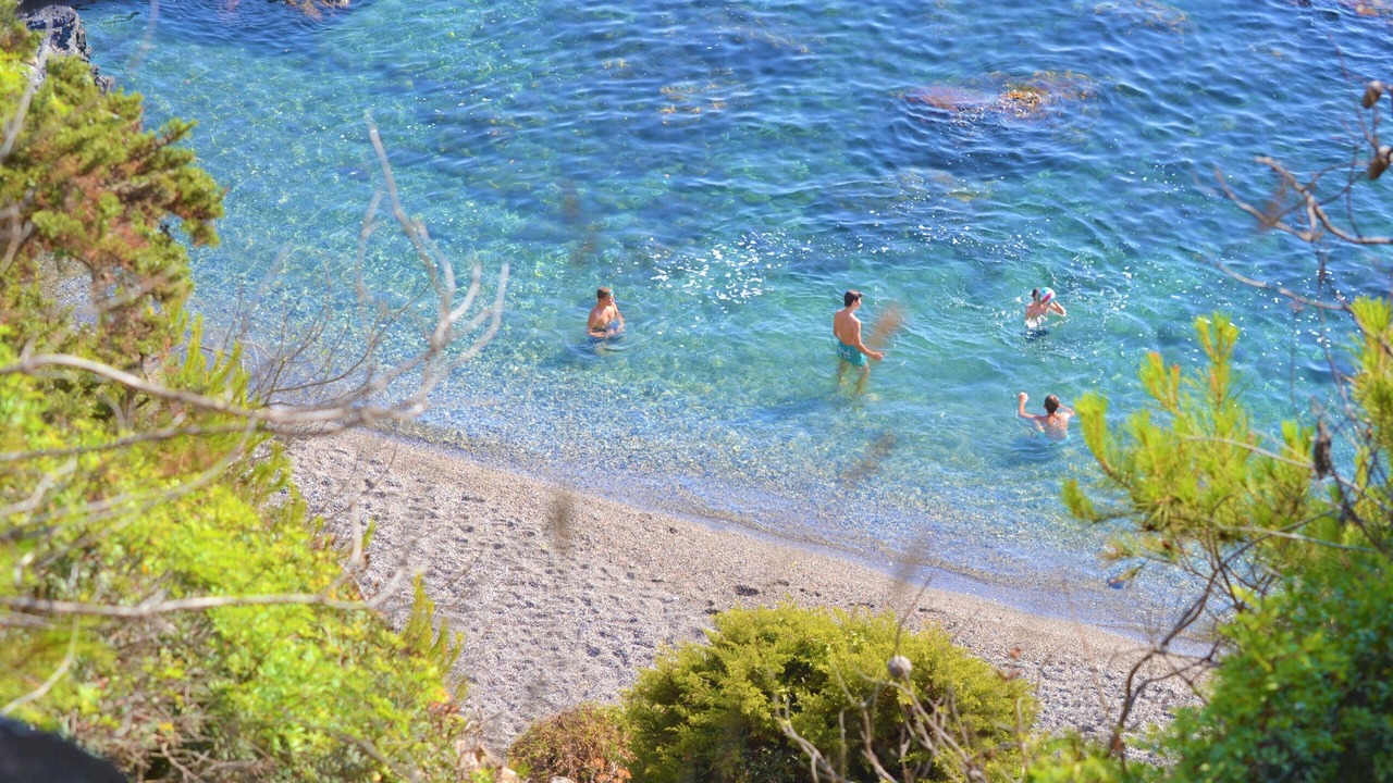 Photo of Others in Six-Fours-les-Plages
