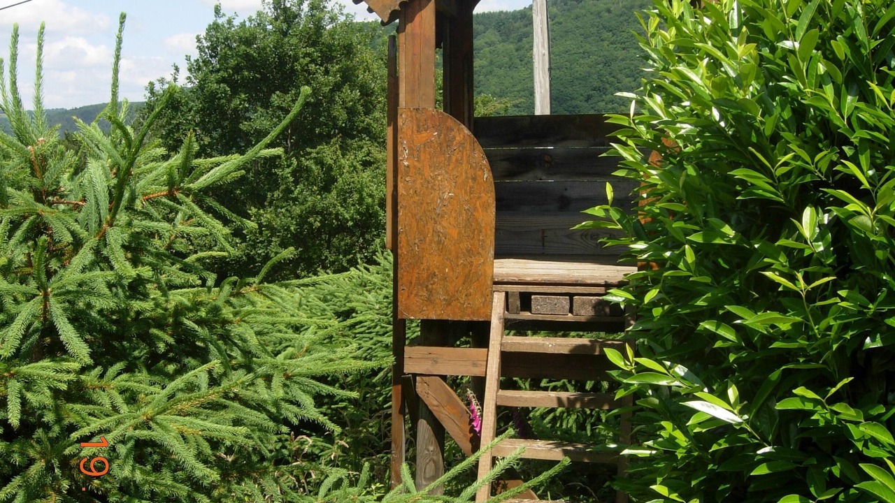 Photo of Outdoor in Saint-Jacques-d'Ambur