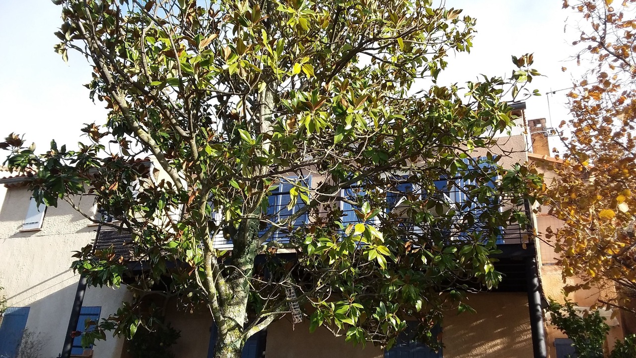 Photo of Outdoor in Cotignac