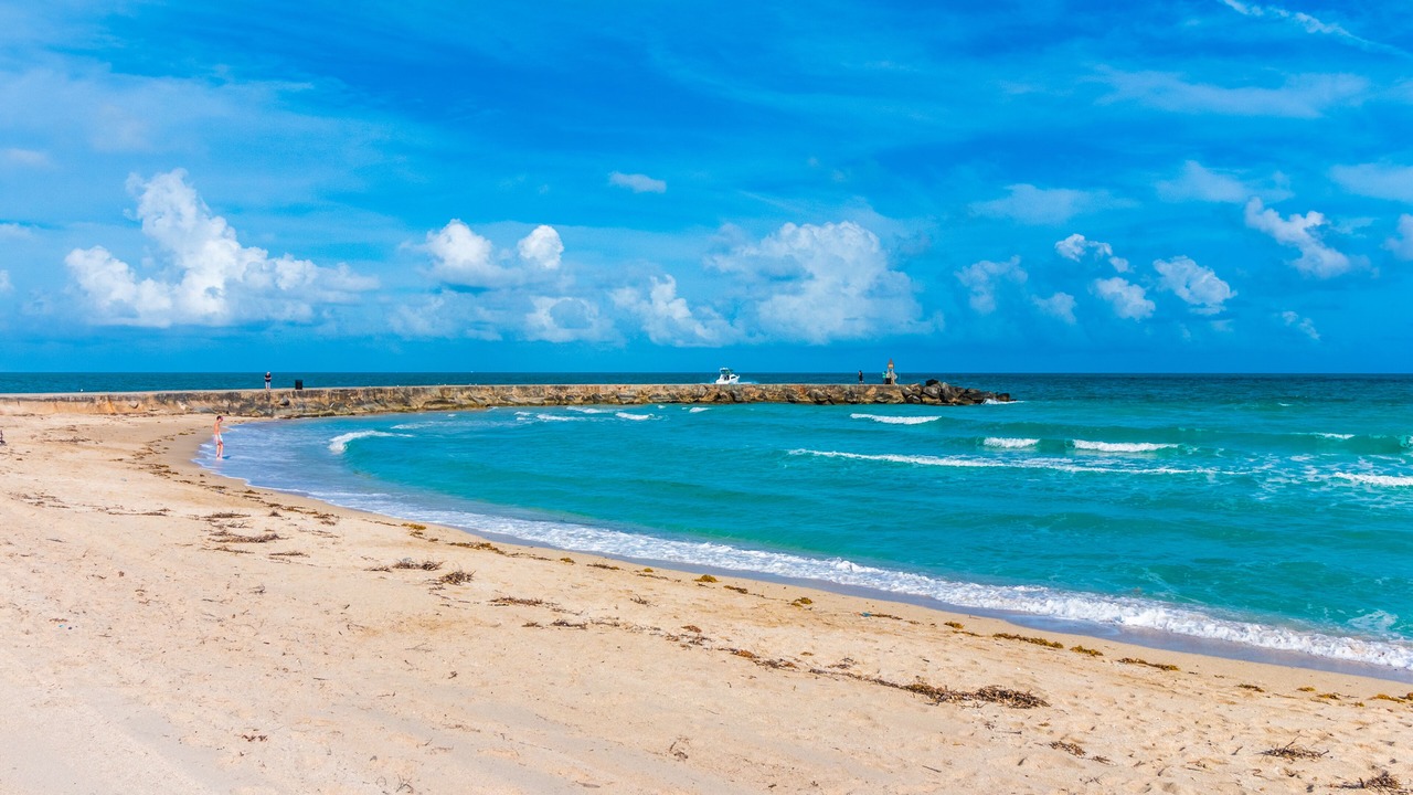 Photo of Others in Bal Harbour