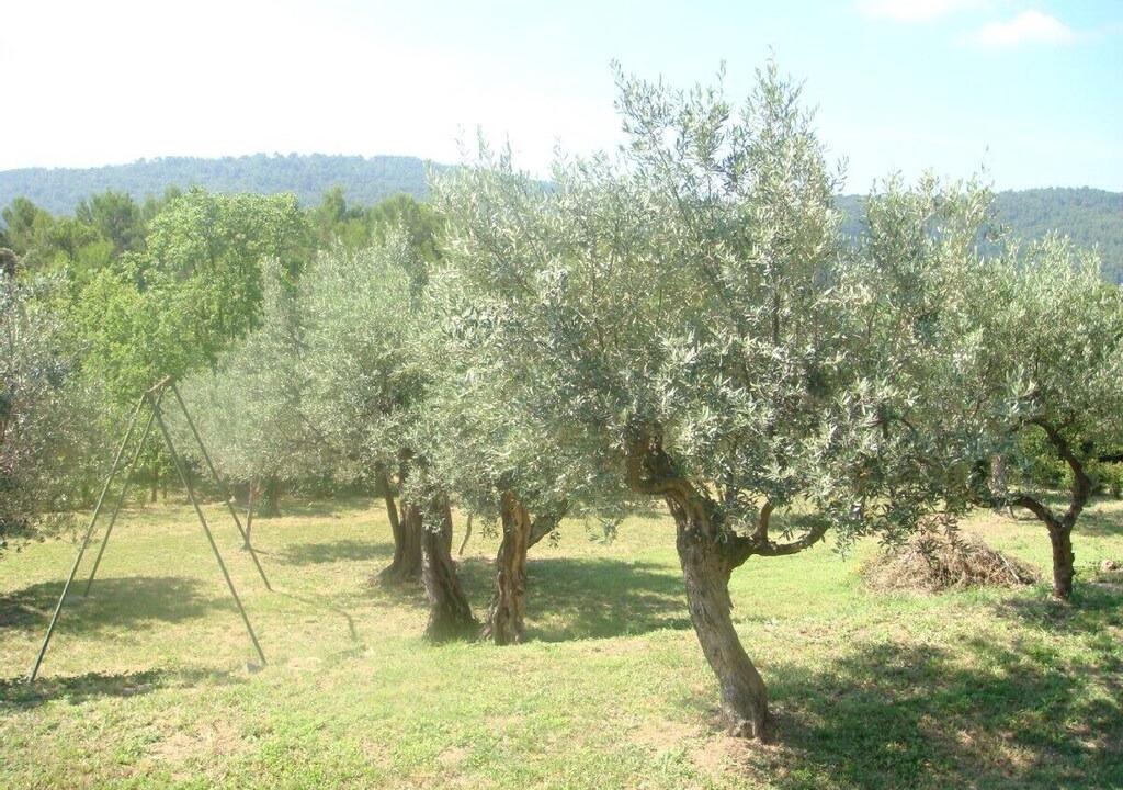 Photo of Outdoor in Claviers