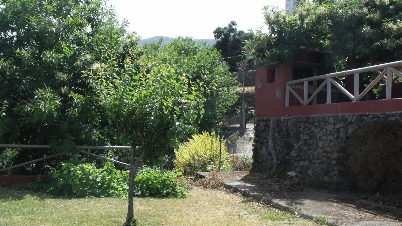 Photo of Outdoor in La Orotava